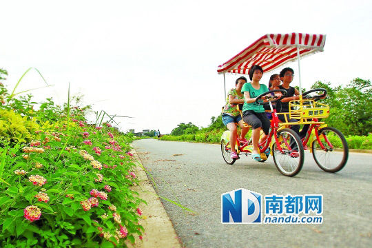 海寿岛适合骑自行车。